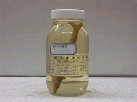 藏品(條鰍)的圖片